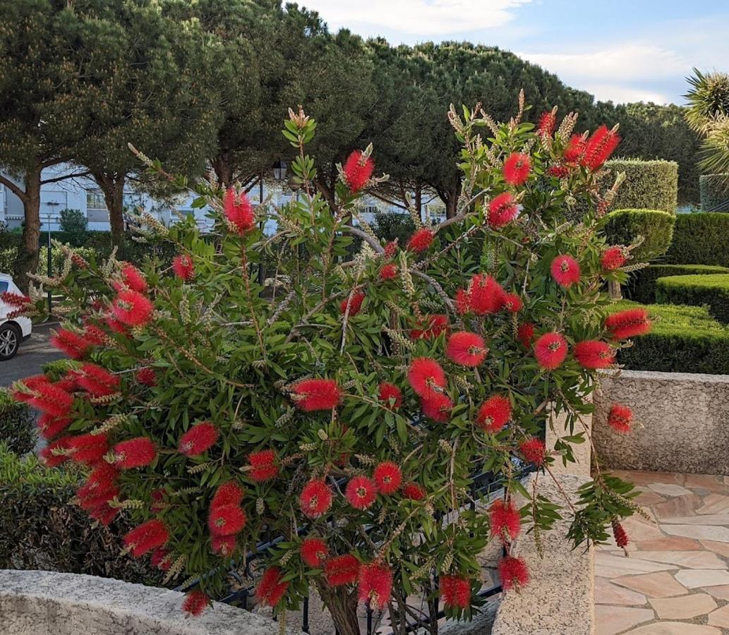 Duplex T3Bis Presqu'Ile De La Lagune - Piscine - Mer & Nature Apartman Saint-Cyprien Kültér fotó