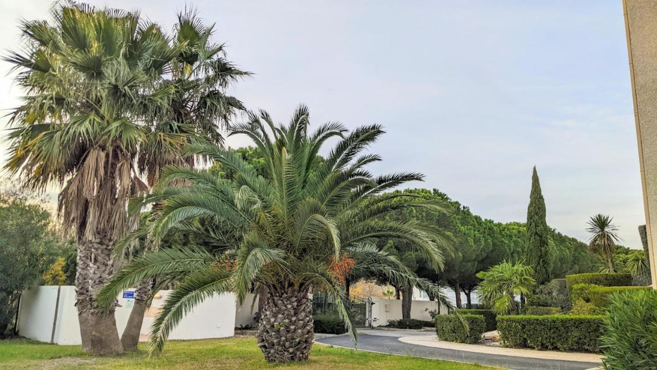 Duplex T3Bis Presqu'Ile De La Lagune - Piscine - Mer & Nature Apartman Saint-Cyprien Kültér fotó